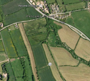 Possible Strip in the field boundaries south of Pelcomb Cross
