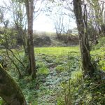 Lambston Mill Pond remains