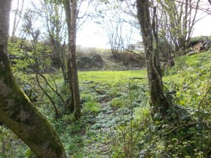 Lambston Mill Pond remains