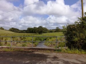 Pelcombe Brook