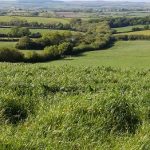 Woodlnd on the boundary between Lambston and Haverfordwest parishes
