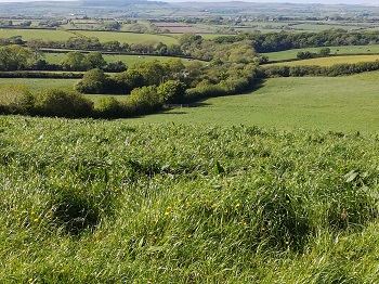 Woodlnd on the boundary between Lambston and Haverfordwest parishes