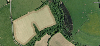 Lambston Woodland