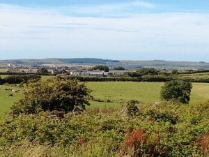 View of Homelands Farm